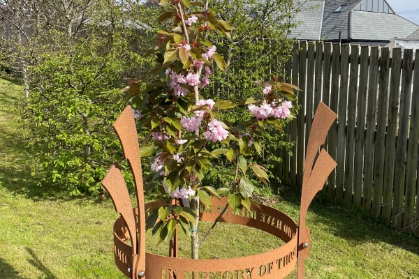 Our memorial tree is in bloom!