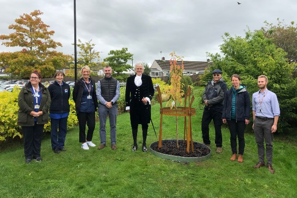 the surgery staff with the memorial tree